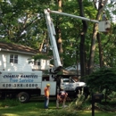 Charlie Nansteel Tree & Excavation LLC - Concrete Contractors