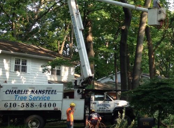 Charlie Nansteel Tree & Excavation LLC - Bangor, PA