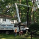 Charlie Nansteel Tree & Excavation LLC