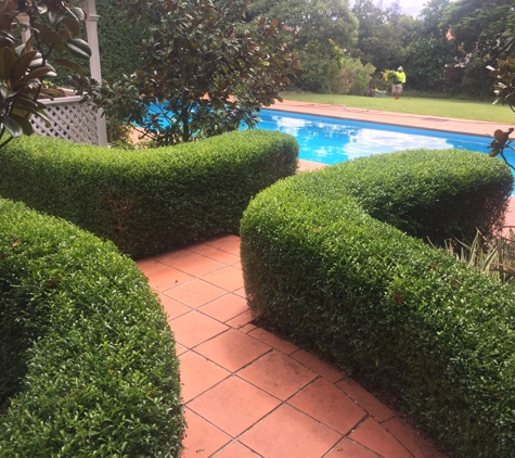 Steven Clark's Garden Maintenance - Carbrook, QLD