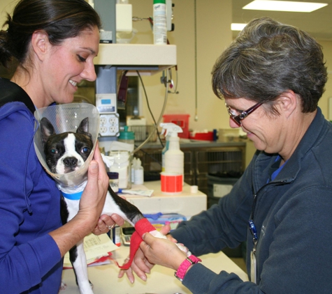 Boston West Veterinary Emergency & Specialty - Natick, MA