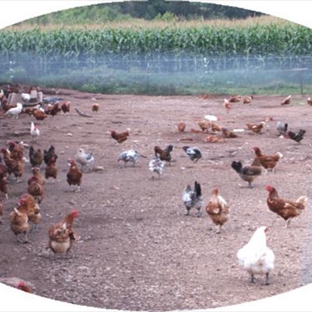 Milo's Poultry Farms - Bonduel, WI