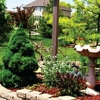 Surewood Landscaping gallery