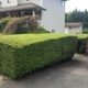 Easy Lawn Care & Landscaping LLC