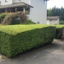 Easy Lawn Care & Landscaping LLC