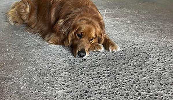 Rue's Kennels @ LAX - Inglewood, CA