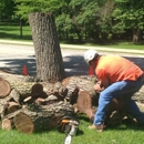 Lumber Jack Tree Service - Landscape Contractors
