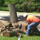 Lumber Jack Tree Service