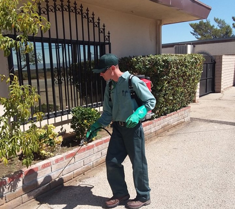 Rid X Pest Disposal - Lancaster, CA