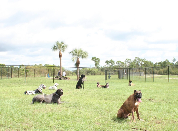 PCF K-9 - Loxahatchee, FL