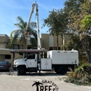 Grateful Tree and Hedge - Tree Service