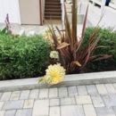 GREENLIFE GARDENING - Gardeners