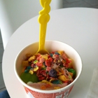 Tutti Frutti Frozen Yogurt