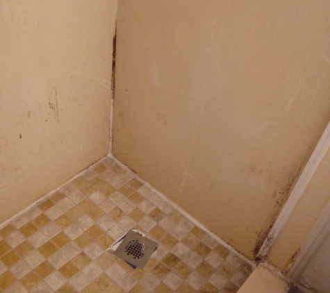 Eldorado Motel - Cleveland, OH. BLACK MOLD 
1-29-20