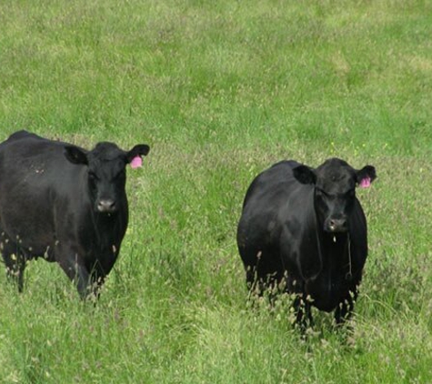 Monaro Livestock & Property Pty Ltd