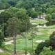 Lane Tree Golf Club and Conference Center