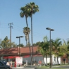 In-N-Out Burger gallery