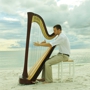 The Coastal Harpist - Christian Bell