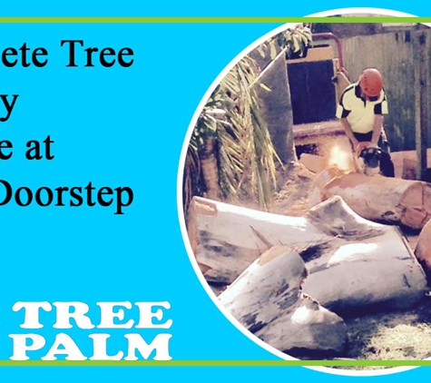 All Tree And Palm Trimming And Removal. Complete Tree Surgery Service At Your Doorstep