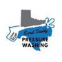 Scrub Daddy Pressure Washing