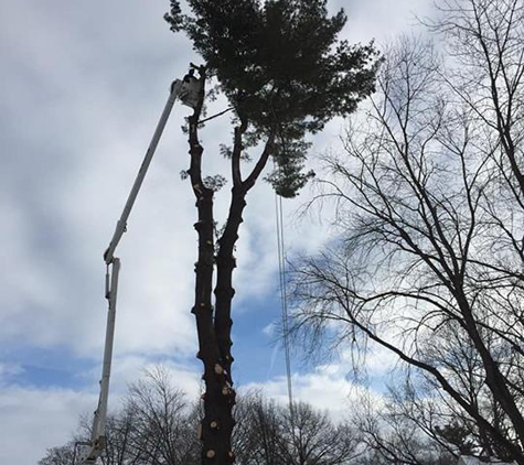 Wes' Tree Service - Oregon, IL