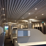 Gallery Image Number 1