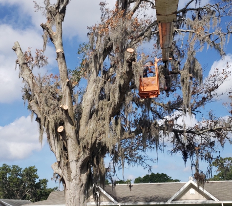 Joe's Tree Service - Plant City, FL