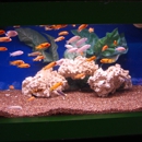 The Fish Factory - Aquariums & Aquarium Supplies