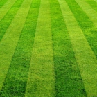 Green World Lawn & Landscape