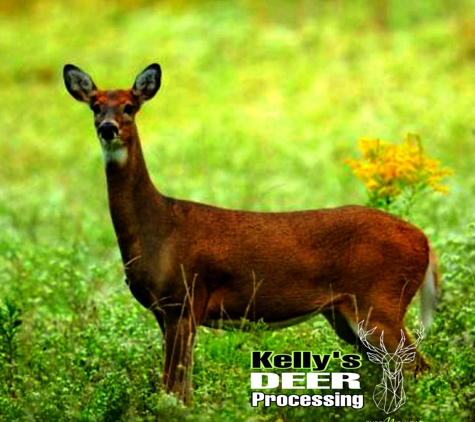 Kellysdeerprocessing.Com - Big Rapids, MI