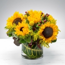 Moller's Flower Shop - Flowers, Plants & Trees-Silk, Dried, Etc.-Retail