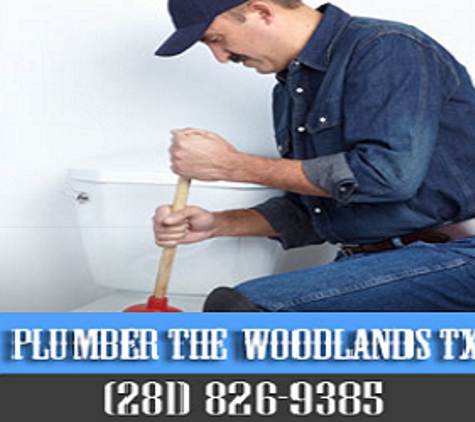 Plumber The Woodlands TX - Spring, TX