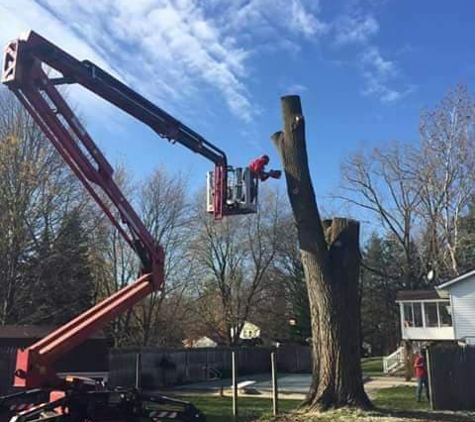 Eskildsen's Tree Service & Property Maintenance - Arkdale, WI