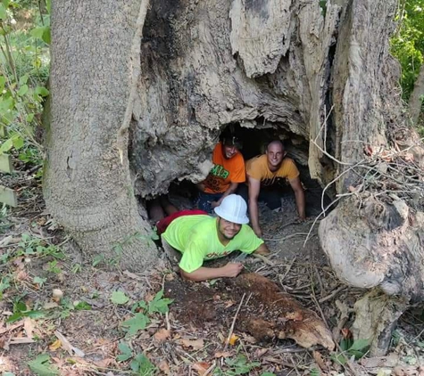 MIB Tree Service - Roanoke, VA