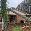 Top Notch Tree Service gallery