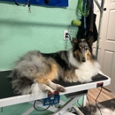 Countryside Canine - Pet Services