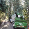 La Sirenita Tree Service gallery