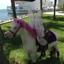 Broward Pony Rentals - Party Supply Rental