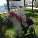 Miami Pony Rentals - Party Supply Rental