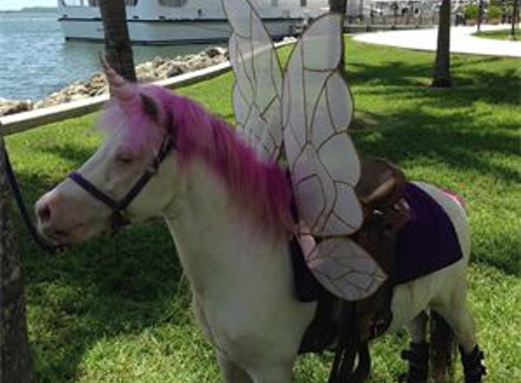 Miami Pony Rentals - Miami Lakes, FL