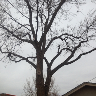 Tomcat's Tree Trimming - Wolfforth, TX