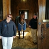 Coolmore America - Ashford Stud gallery