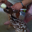 Coastal Carolina Wildlife Rehab - Wildlife Refuge