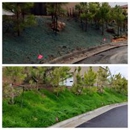 Arstate Hydroseeding - Landscaping & Lawn Services