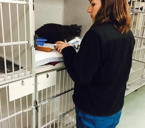 Metropolitan Animal Emergency and Speciality Centre - Rockville, MD