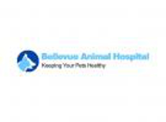 Bellevue Animal Hospital - Bellevue, KY