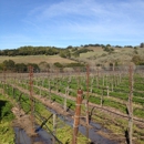 Christie Estate Winery & Vineyards - Wineries