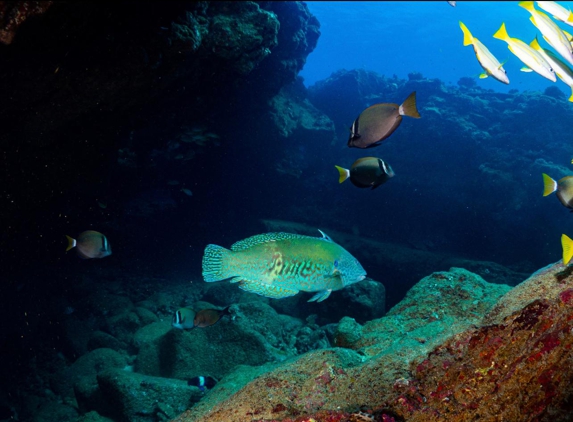 Fathom Five Divers - Koloa, HI