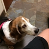 Hayfield Animal Hospital gallery