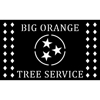 Big Orange Tree Service by Jason Stiltner gallery